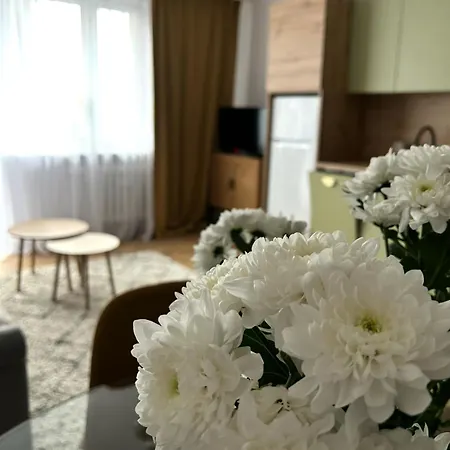 Piekne Mieszkanie W Samym Centrum Gdyni شقة *