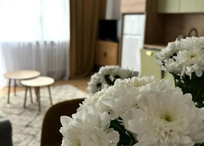 Piekne Mieszkanie W Samym Centrum Gdyni Lägenhet *